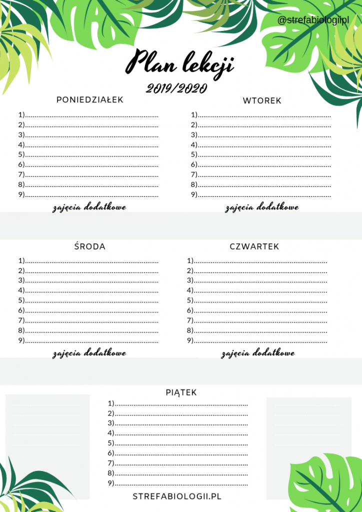 zielony-plan-lekcji