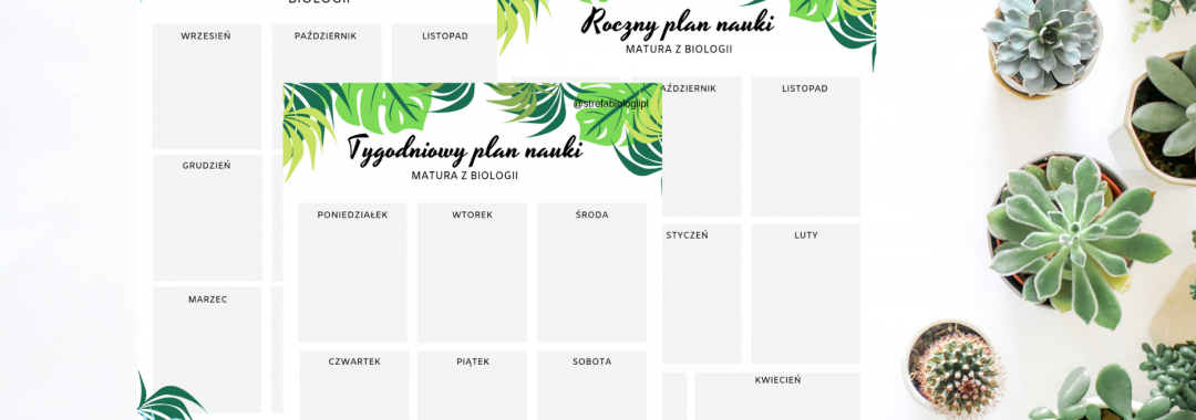 arkusze-do-planowania-nauki-biologii