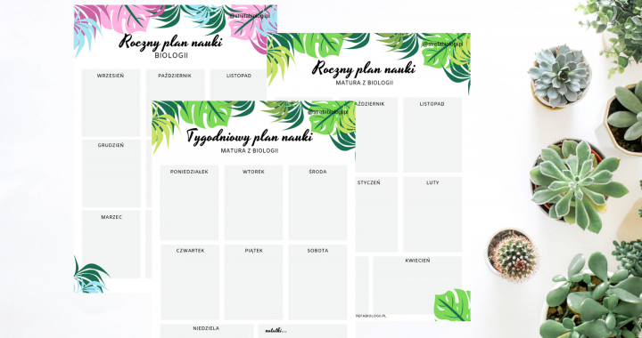 arkusze-do-planowania-nauki-biologii